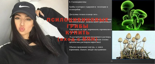 гашиш Осинники