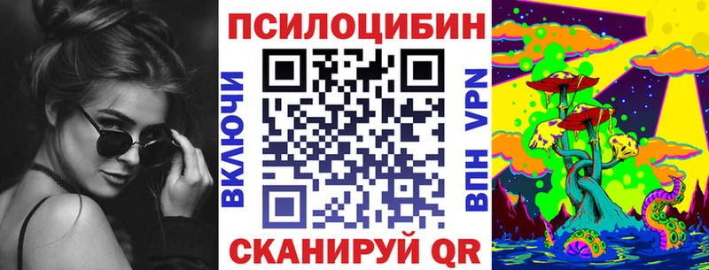 Псилоцибиновые грибы мицелий  blacksprut рабочий сайт  Алексин  магазин продажи наркотиков 